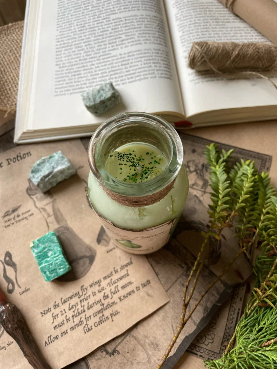 Svíčka ✨POLYJUICE POTION✨