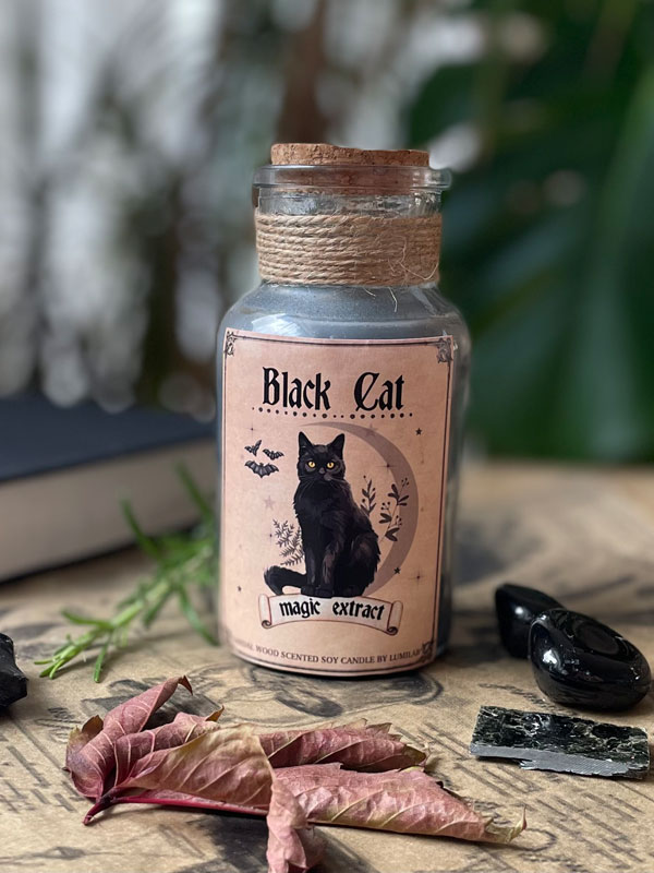 Svíčka ✨BLACK CAT✨