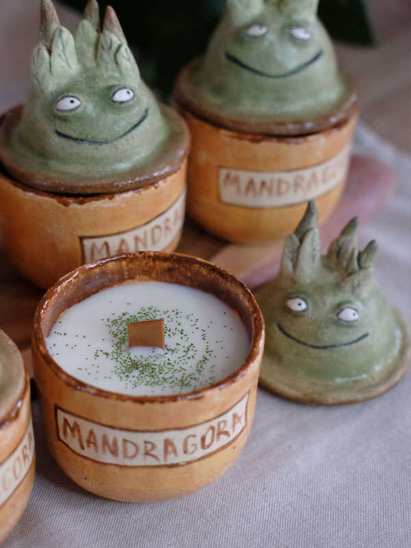 Svíčka ✨Mandragora✨