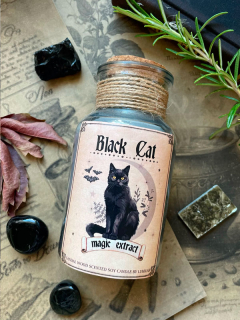 Svíčka ✨BLACK CAT✨